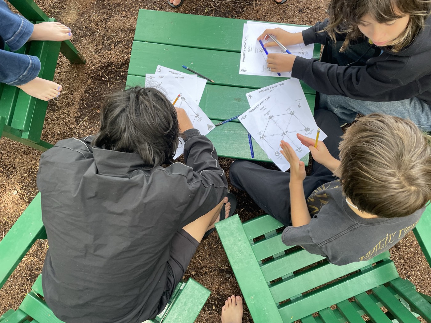 Young people filling in their Project Avatar attribute charts